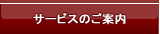 サービスのご案内